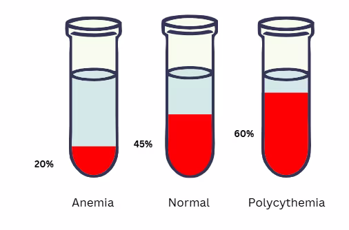 Hemoglobin Test Results and Normal Hemoglobin Levels