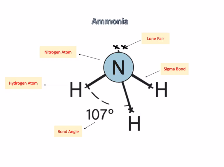 NH₃ Lewis Structure and the Structure of Ammonia